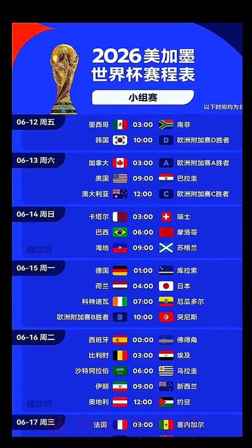 2026世界杯荷兰哈兰德赛事预测完整指南